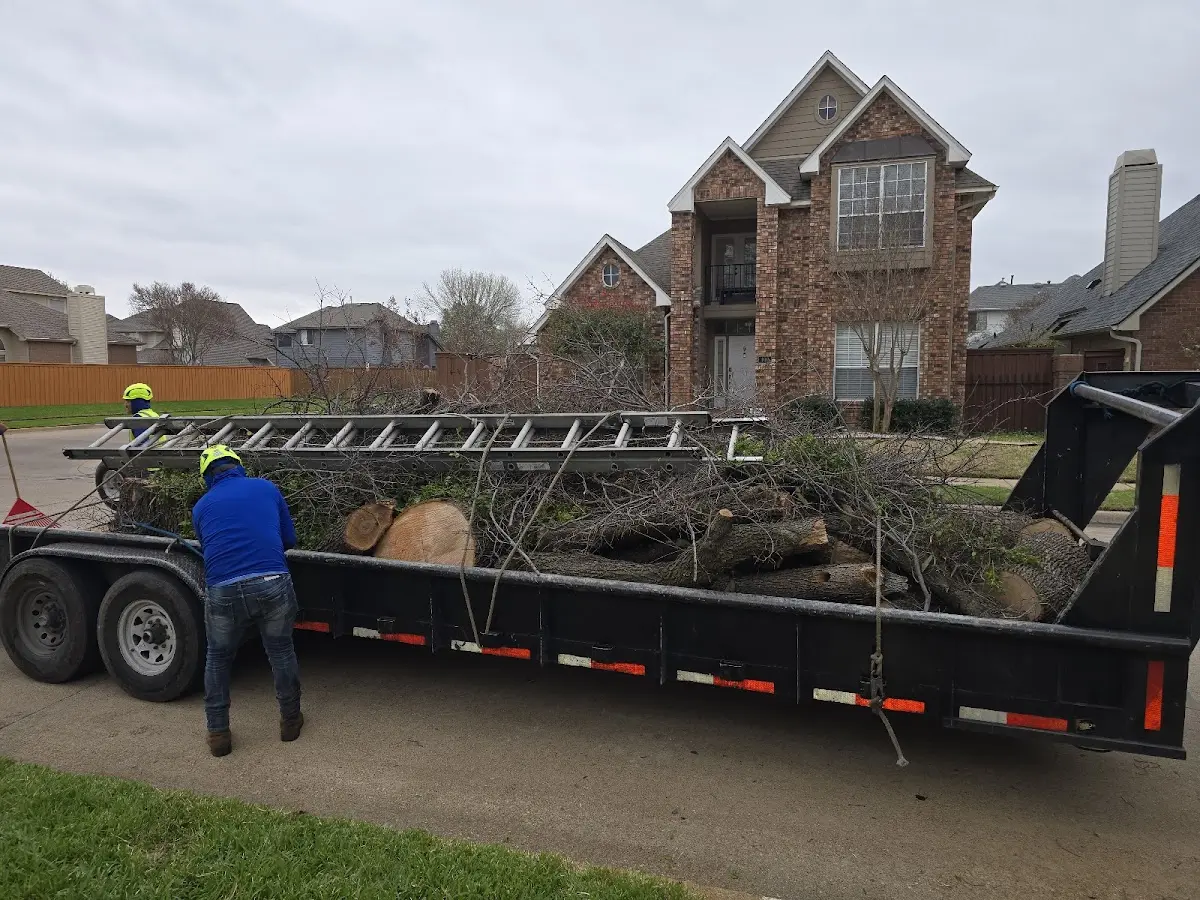 Expert Tree Fertilization with proper safety equipment in Evans